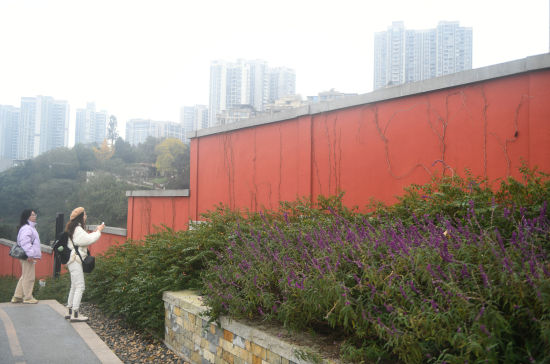 图为重庆版“故宫红墙”吸引市民拍照打卡。中新网记者 周毅 摄 图为重庆版“故宫红墙”吸引市民拍照打卡。中新网记者 周毅 摄