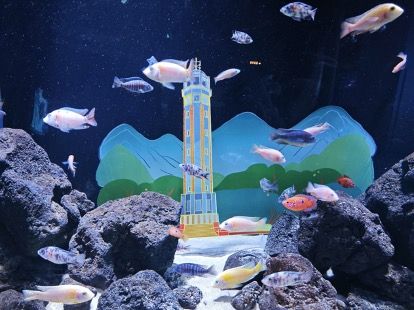 图为解放碑主题水族箱。受访者供图 图为解放碑主题水族箱。受访者供图