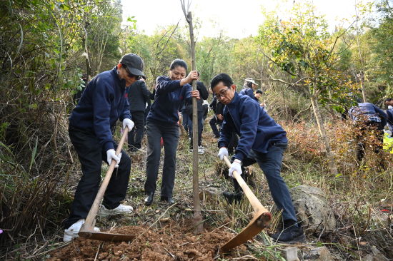 图为北大校友植树现场。陈超 摄 图为北大校友植树现场。陈超 摄