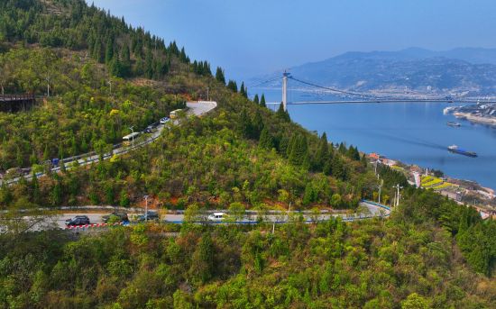 图为北大校友十四年植树蔚然成林。陈超 摄 图为北大校友十四年植树蔚然成林。陈超 摄