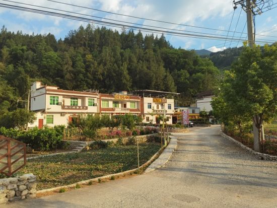 图为党外代表人士调研平河乡燕子村美丽乡村建设。 巫山县委统战部供图 图为党外代表人士调研平河乡燕子村美丽乡村建设。 巫山县委统战部供图