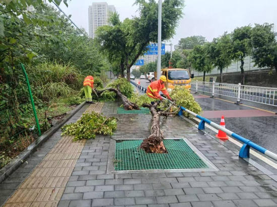 图为工作人员处置倒伏短枝树木。 巴南区城市管理局 供图 图为工作人员处置倒伏短枝树木。 巴南区城市管理局 供图