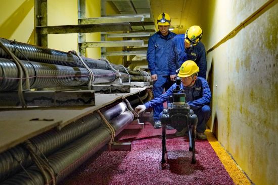 图为国网重庆超高压公司助电缆巡视机器狗进行巡检工作。 国网重庆超高压公司 供图 图为国网重庆超高压公司助电缆巡视机器狗进行巡检工作。 国网重庆超高压公司 供图