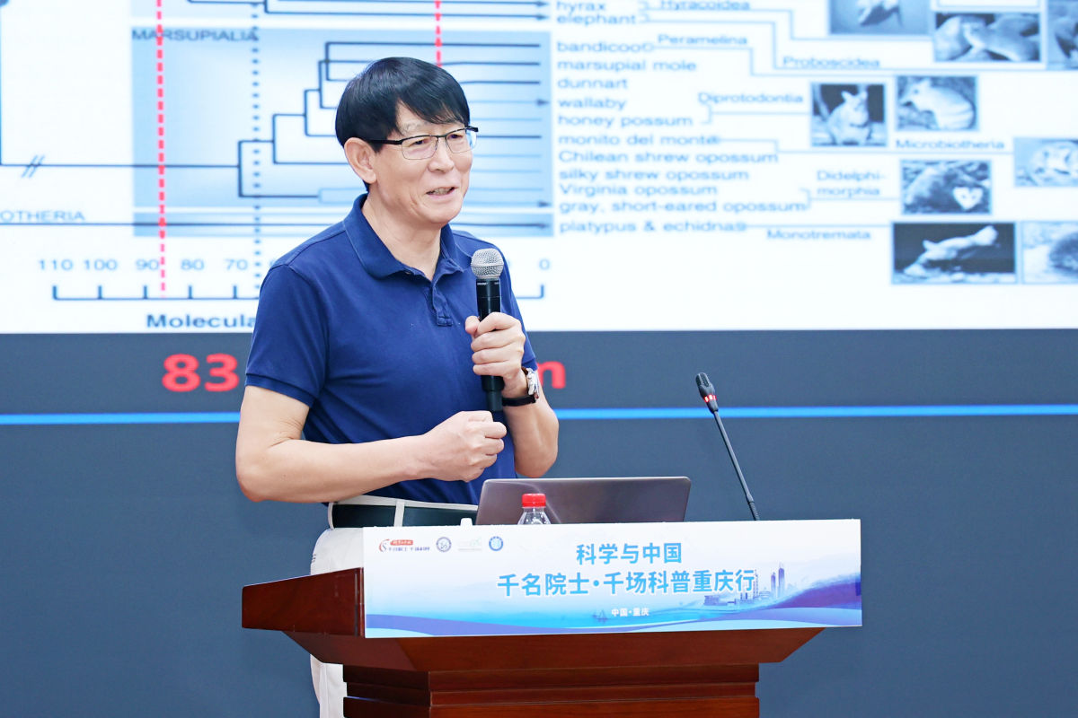 图为活动现场。主办方供图 图为活动现场。主办方供图