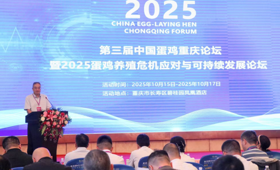 图为论坛现场。活动举办方供图 图为论坛现场。活动举办方供图