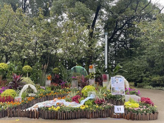 图为菊展现场。重庆国际新闻中心 供图 图为菊展现场。重庆国际新闻中心 供图