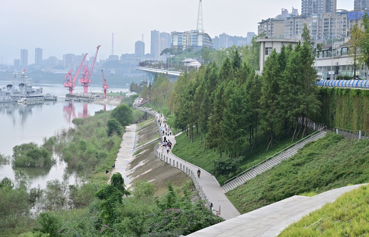 图为活动现场。主办方供图 图为活动现场。主办方供图