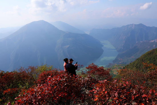 图为红叶丛中观赏拍摄长江三峡巫峡美景。 图为红叶丛中观赏拍摄长江三峡巫峡美景。