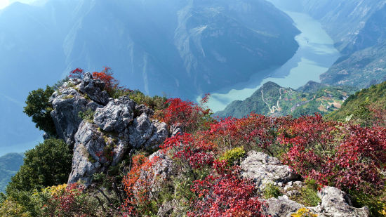 图为神女景区北环线拍摄的红叶美景。 图为神女景区北环线拍摄的红叶美景。