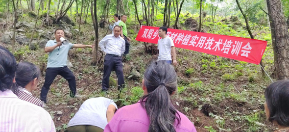 ͼΪϪ˫翪չҩֲʵüѵᡣϪũҵũίͼ