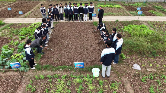 图为在劳动实践基地,老师详细教授种植知识。重庆电视台《教育新视界》栏目 供图 图为在劳动实践基地,老师详细教授种植知识。重庆电视台《教育新视界》栏目 供图