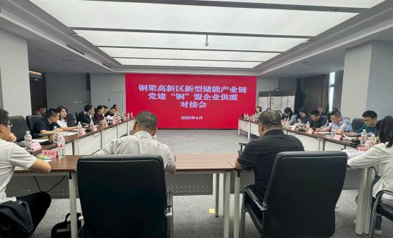 图为党建“铜”盟联席会议。铜梁区委宣传部 供图 图为党建“铜”盟联席会议。铜梁区委宣传部 供图