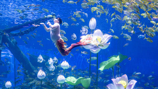 ͼΪ�����㡰���𡱱��ݾ��ա��ڴ������� ��ͼ