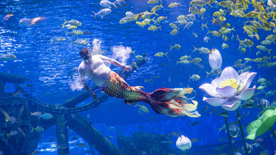 ͼΪ�����㡰���𡱱��ݾ��ա��ڴ������� ��ͼ