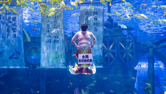 ͼΪ�����㡰���𡱱��ݾ��ա��ڴ������� ��ͼ