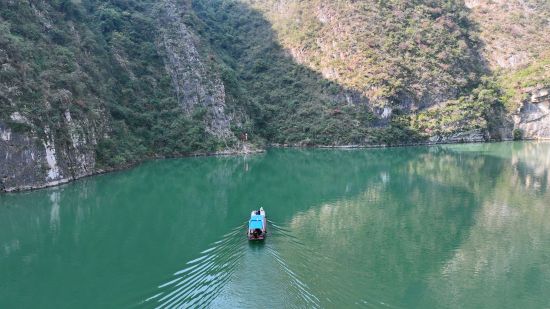 ͼΪ����������ԱΪ��Ⱥ���䶬��ʳ�