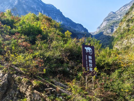 ͼΪС��Ͽ��СС��Ͽ�����ڵĺ���Ͷ�ŵ㡣