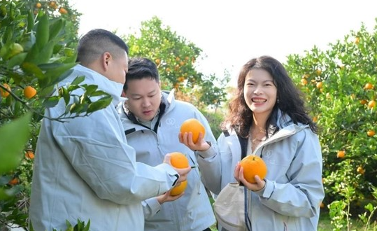 ͼΪ��ֳ����������� ��ͼ