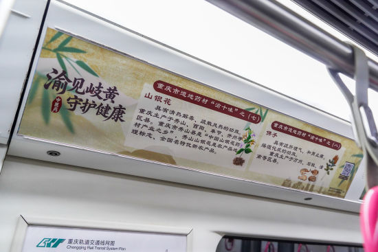 �����᪻ơ�����֮�С���ҽҩ�Ļ�������ר���ڲ��� ��������������ί��ͼ