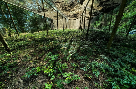 ͼΪ��ˮ����ɽ�巢չ�������徭�á��ܷ��� ��ͼ