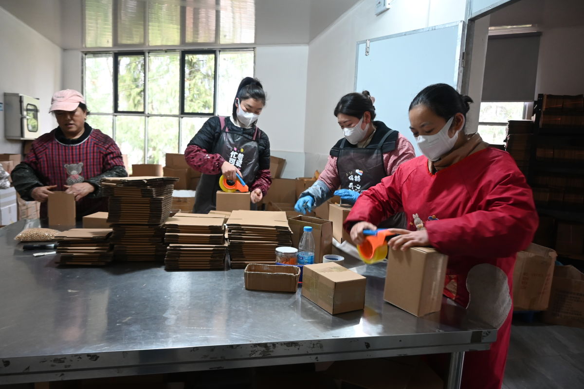 ͼΪ����ũҵ�Ĺ������ڣ�������Ա���ڴ��������� ��