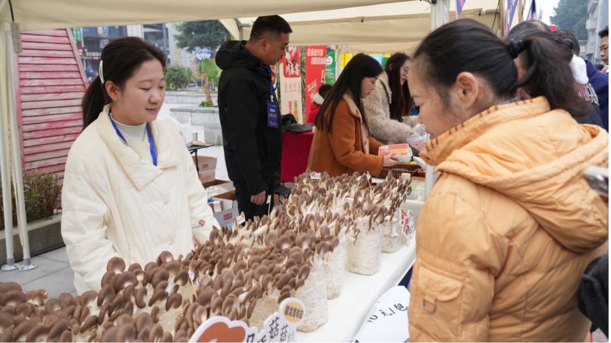 ͼΪ��ֳ���������