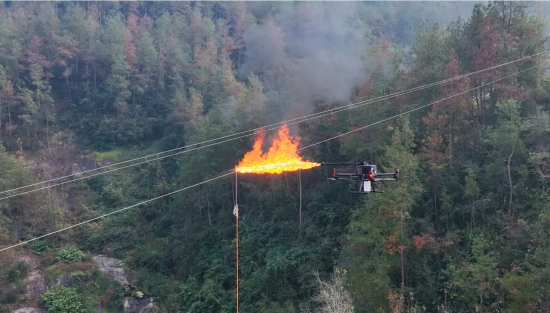 图为作业现场。国网重庆开州供电公司 供图 图为作业现场。国网重庆开州供电公司 供图