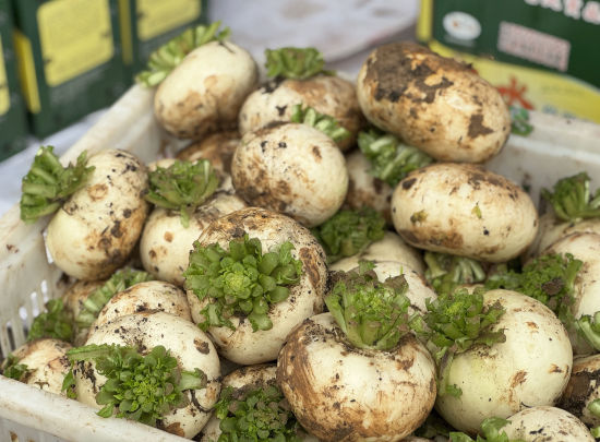 ͼΪ�����ܲ�ӭ�����գ���ʽ�������������췽��ͼ