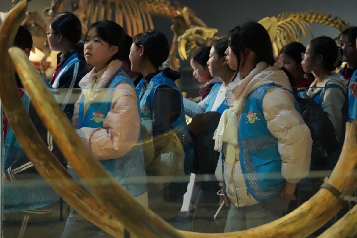 ͼΪ��ֳ������췽��ͼ