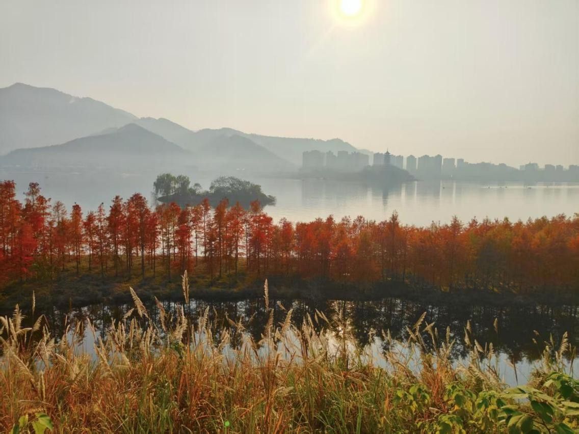 图为汉丰湖秋色。开州区生态环境局供图 图为汉丰湖秋色。开州区生态环境局供图