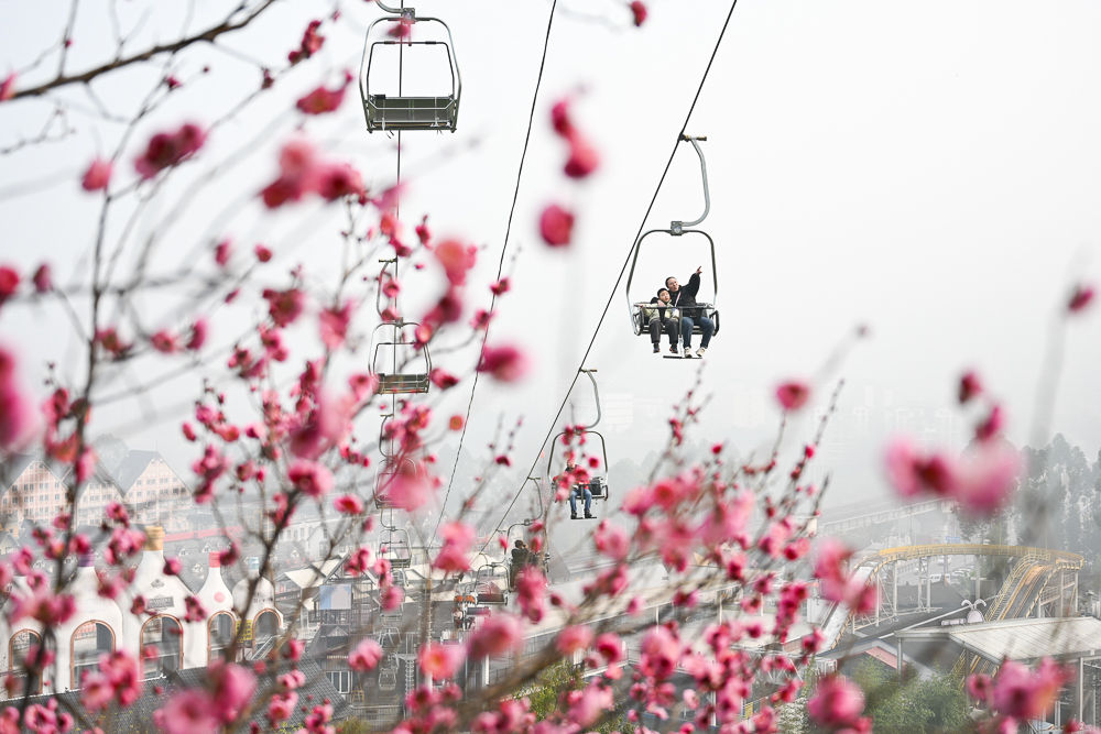 ͼΪ�ο������ĺ��С����������ͻ������� ������ ��