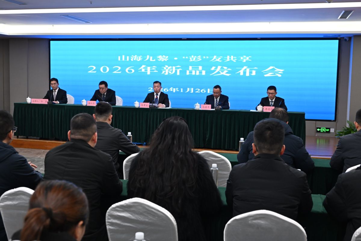 图为发布会现场。活动主办方供图 图为发布会现场。活动主办方供图