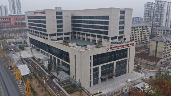 图为项目实景。 图为项目实景。