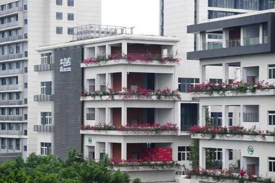 图为金山意库。陈鑫 摄 图为金山意库。陈鑫 摄