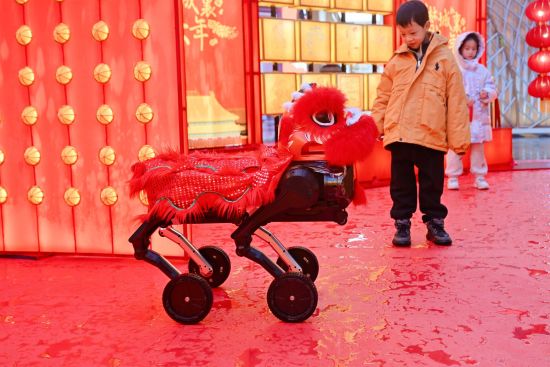 图为活动现场。主办方供图 图为活动现场。主办方供图