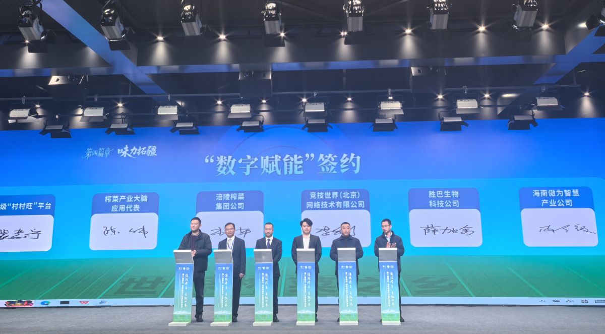 图为签约仪式现场。活动主办方供图 图为签约仪式现场。活动主办方供图