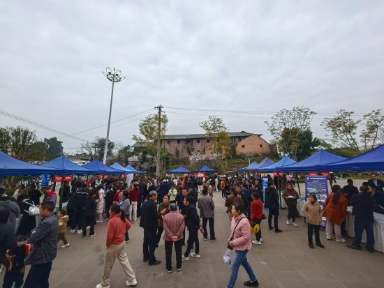 图为活动现场。铜梁区委宣传部 供图 图为活动现场。铜梁区委宣传部 供图