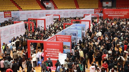 图为招聘会现场。主办方 供图 图为招聘会现场。主办方 供图