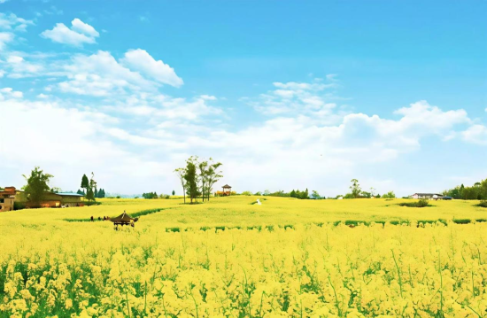 ͼΪ�Ͳ˻��������췽��ͼ