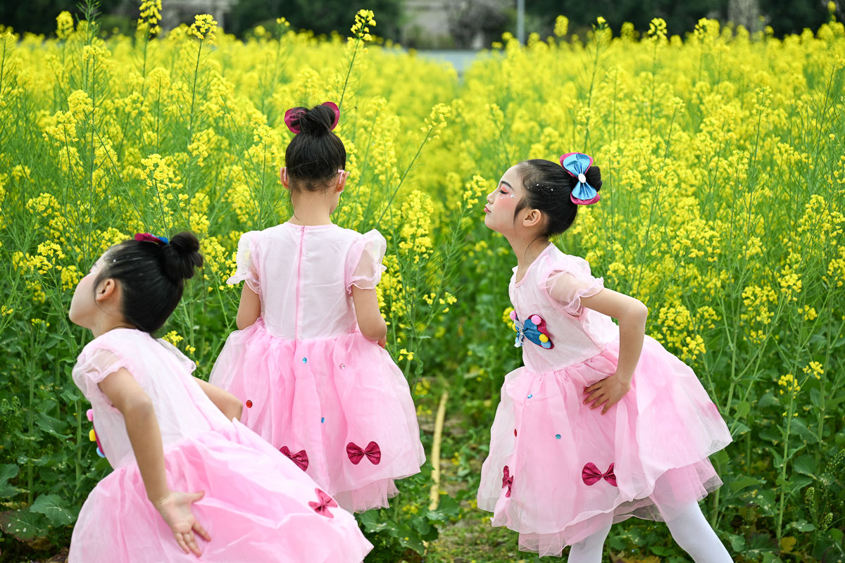 ͼΪѧ������У԰���Ͳ˻�������ˣ������ ������ ��