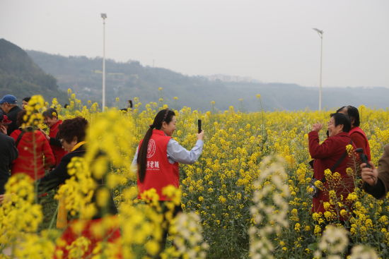 ͼΪ־Ը��Ϊ�������ա�������ͼ