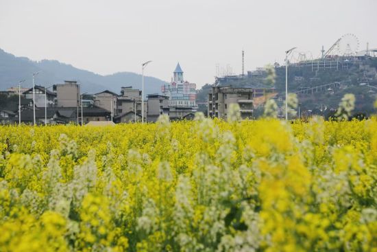 ͼΪ���й�����ǧĶ�Ͳ˻��������š����ĺ��С�� ��ͼ