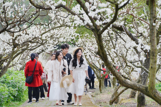 ͼΪ�ο��������̬�����������档��͢�� ��