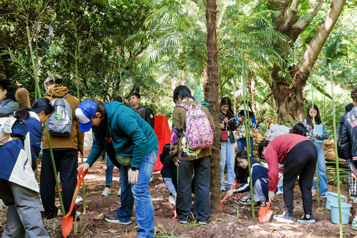 图为中美学生一起种竹子。重庆陆海国际传播公益基金会供图 图为中美学生一起种竹子。重庆陆海国际传播公益基金会供图
