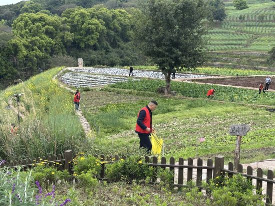 ͼΪ־Ը���������ֵ������ǡ�������԰����������ɨ�������췽 ��ͼ