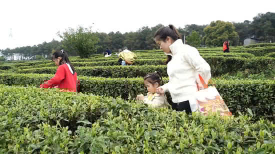 ͼΪ�ο�����ɴ��衣ͭ����ί������ ��ͼ