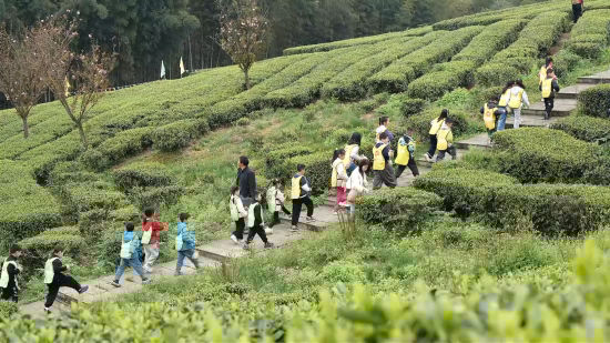 ͼΪ�ο�����ɴ��衣ͭ����ί������ ��ͼ