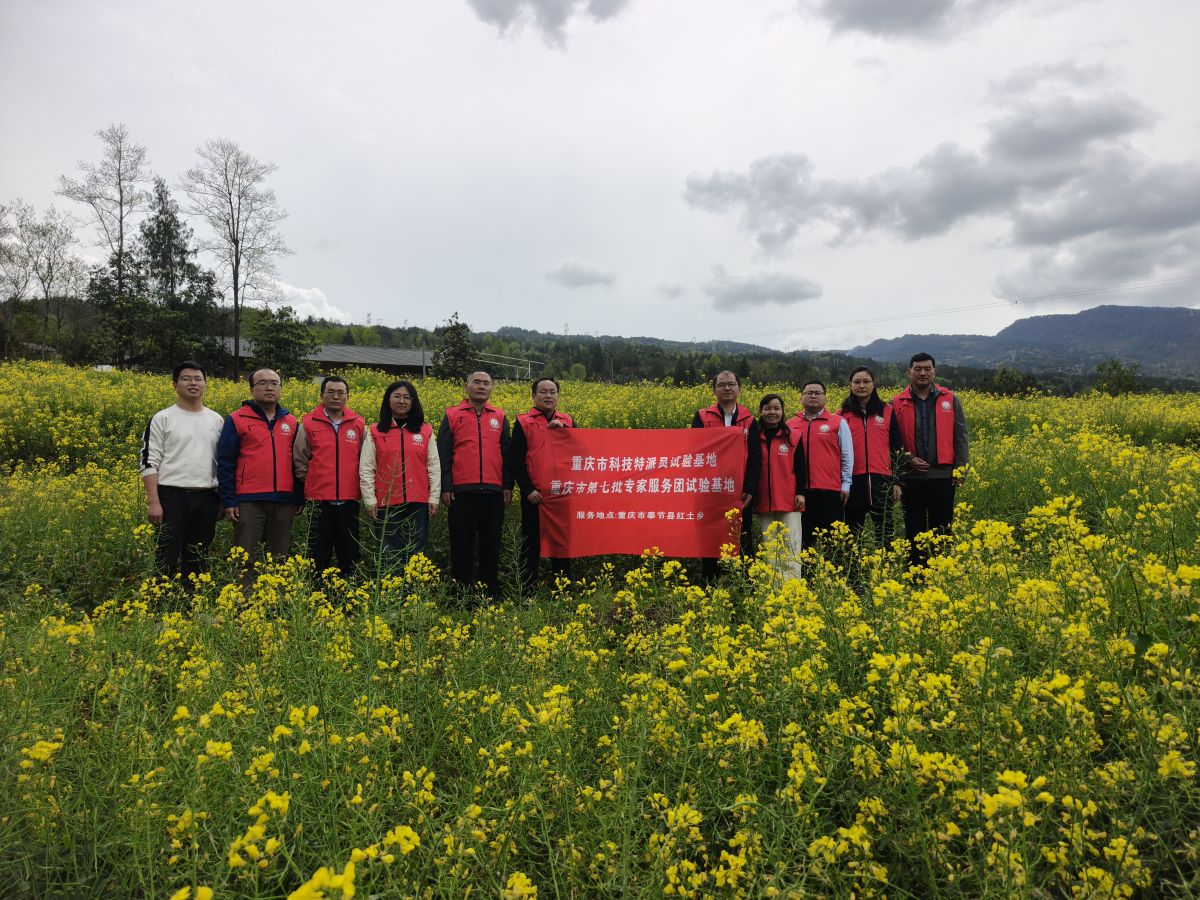 ͼΪ�嶫�����ؿƼ�����Ա�ں�����ʵ����ء��ܷ��߹�ͼ 