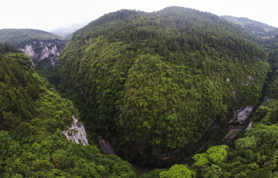 图为大洞河峡谷风光。 图为大洞河峡谷风光。
