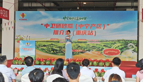 图为活动现场。马雯婧 摄 图为活动现场。马雯婧 摄